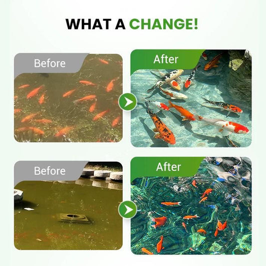 Water Conditioning Powder for Ponds (Pack Of 1)