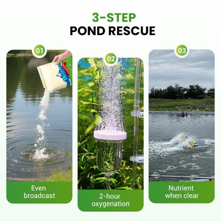 Water Conditioning Powder for Ponds (Pack Of 1)