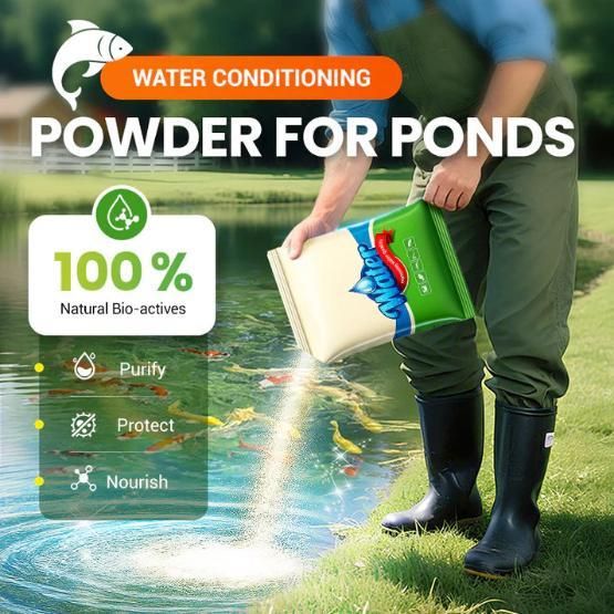 Water Conditioning Powder for Ponds (Pack Of 1)